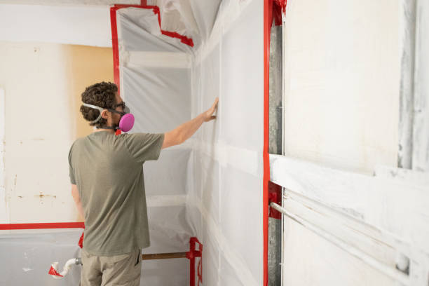 Best Mold Damage Restoration  in Chambersburg, PA