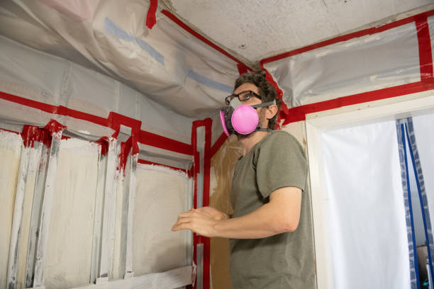 Best Attic Mold Removal  in Chambersburg, PA